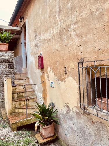 Apartamento La Casina Del Fabbro