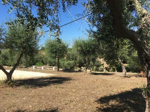 Riserva Ancelle
