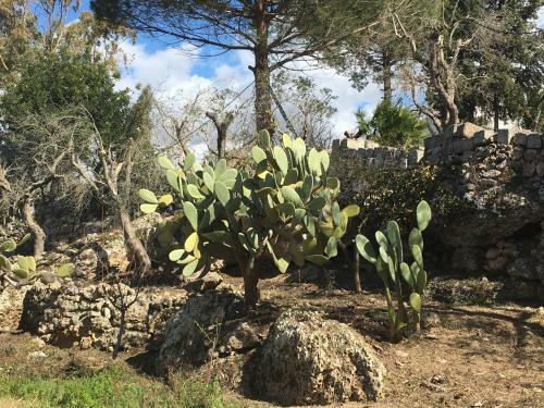 Riserva Ancelle