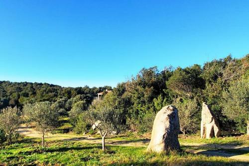 Villa Celeste / Private / Escape To Nature / Olive Groves / Sea Views
