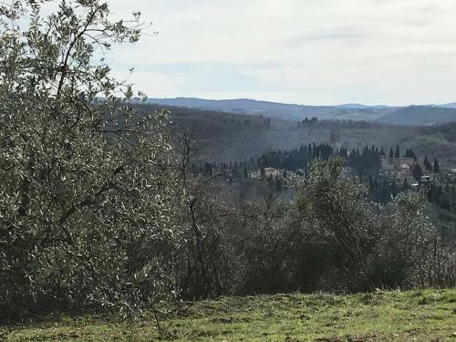 Apartamento Il Fiorino Di Badia