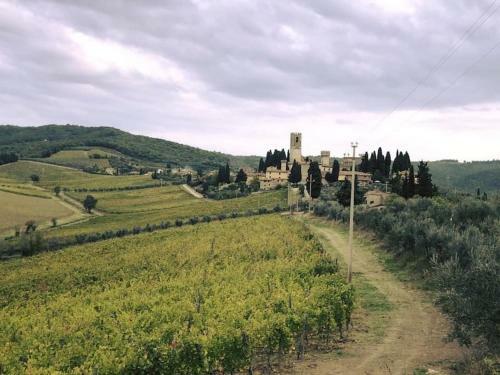 Apartamento Il Fiorino Di Badia