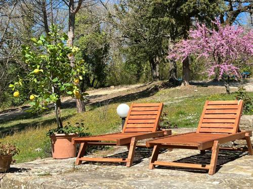 Apartamento Il Fiorino Di Badia