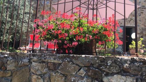 Apartamento Il Fiorino Di Badia