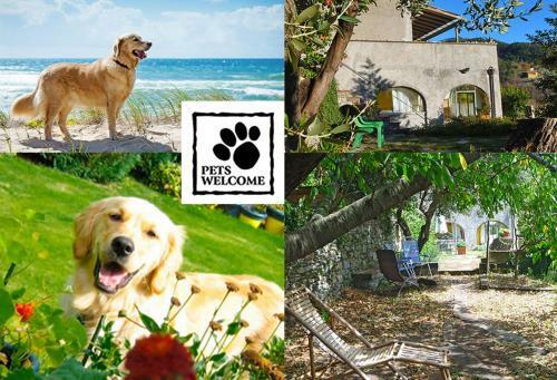 La Sbilenca Casa Vacanza Indipendente Con Ampio Giardino