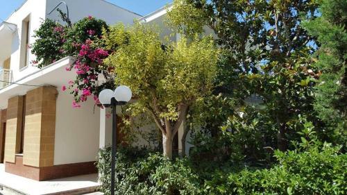 Bed & Breakfast La Magnolia