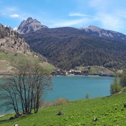 Hostal Affittacamere Buca Di Bacco
