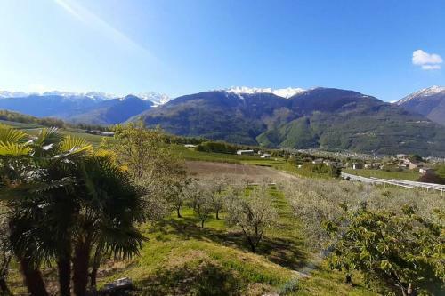 Fantastica Villa Fra Le Alpi Valtellinesi