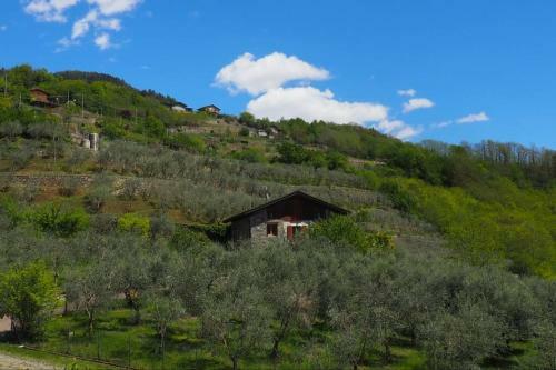 Fantastica Villa Fra Le Alpi Valtellinesi