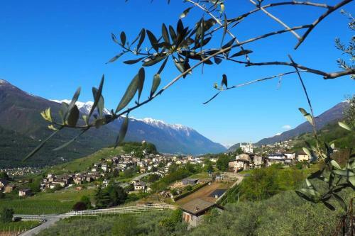 Fantastica Villa Fra Le Alpi Valtellinesi