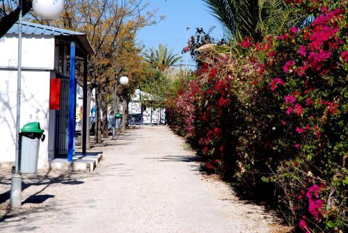 Camping Bon Sol