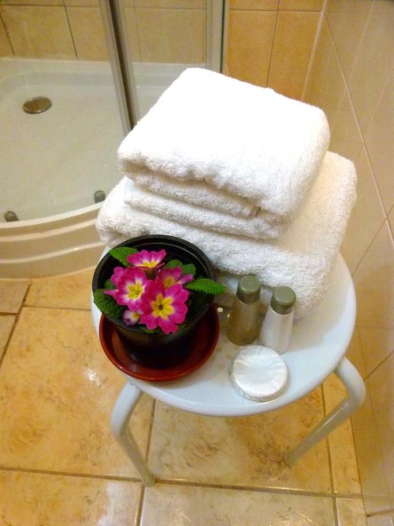 Hostal B&B Concepcion