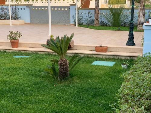 3 Palme- Villa Privata Torre Pali