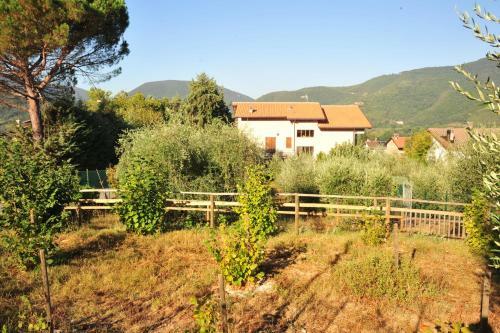 Il Mandorlo