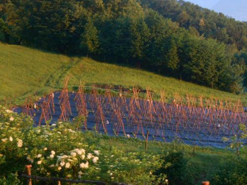 Agroturismo Agriturismo La Casa Nei Boschi