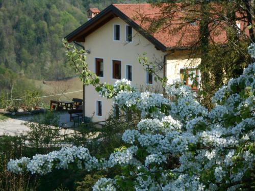 Agroturismo Agriturismo La Casa Nei Boschi