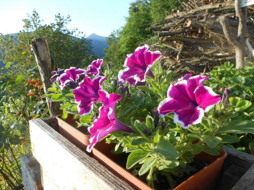 Agroturismo Agriturismo La Casa Nei Boschi