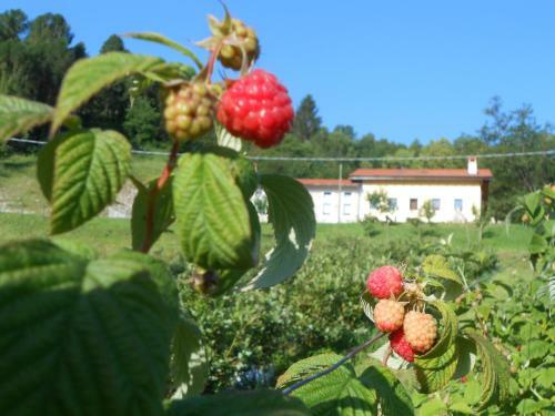 Agroturismo Agriturismo La Casa Nei Boschi