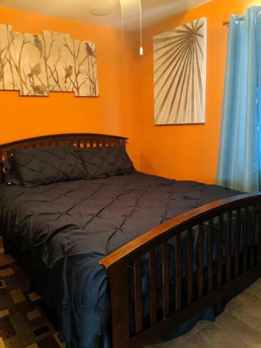 Silverbell Tree Dr Vacation Home Tucson!