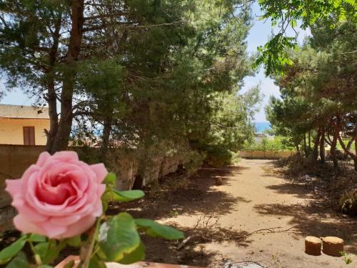 Bed & Breakfast Mediterraneo