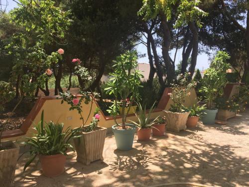 Bed & Breakfast Mediterraneo