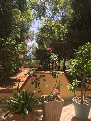 Bed & Breakfast Mediterraneo