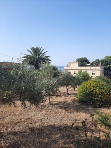 Bed & Breakfast Mediterraneo