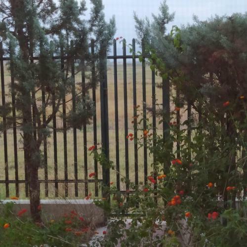 Puglia, Gargano,villa Indipendente Con Parcheggio.