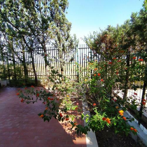 Puglia, Gargano,villa Indipendente Con Parcheggio.
