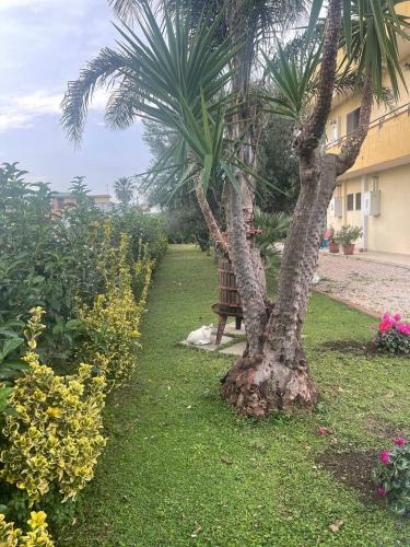 Casa Vacanze Paradise