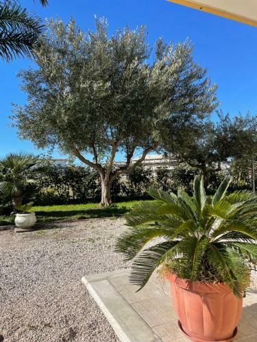 Casa Vacanze Paradise