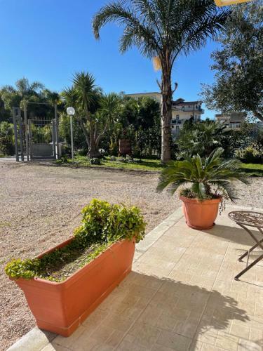 Casa Vacanze Paradise