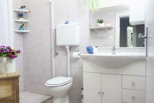 Casa Sinfon�