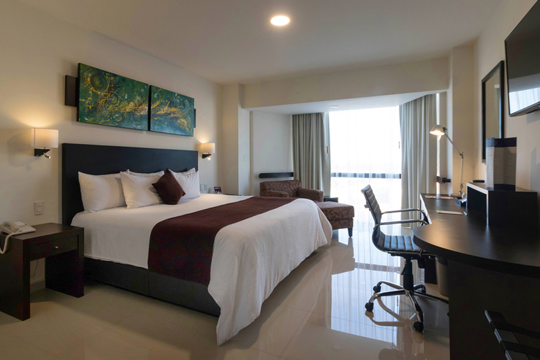 Hotel Mision Torreon