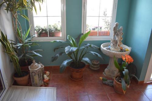 Hostal Costa Rica