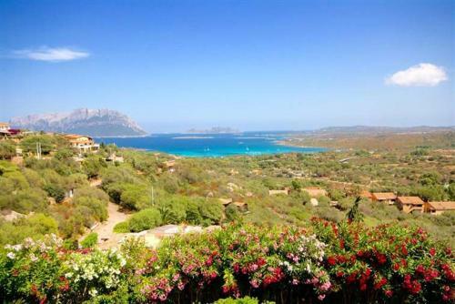 Villa And Pool Tavolara View
