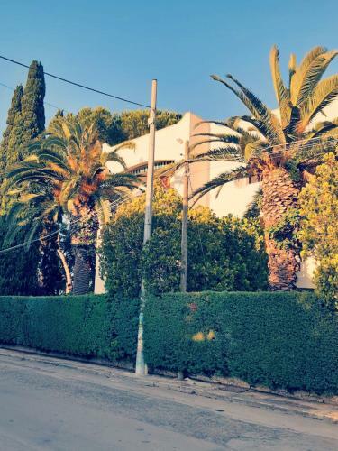 Apartamento Casa Andromeda