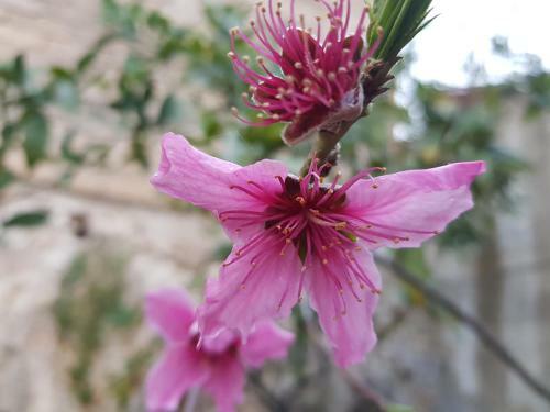 Il Giardino Di Tol� Siracusa