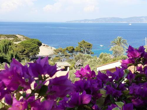 Casa Margot(relax Con Vista)