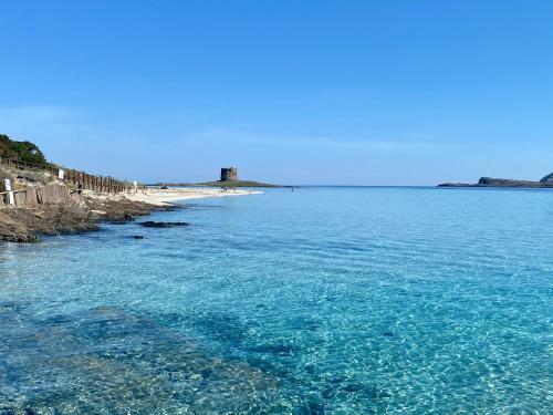 Apartamento All'ombra Dei Pini - Casa Vacanze