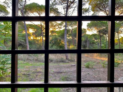 Apartamento All'ombra Dei Pini - Casa Vacanze