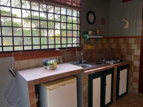 Apartamento All'ombra Dei Pini - Casa Vacanze