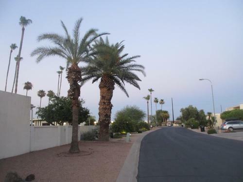 4100 Plus Sqft Art Museum Property In Downtown Scottsdale