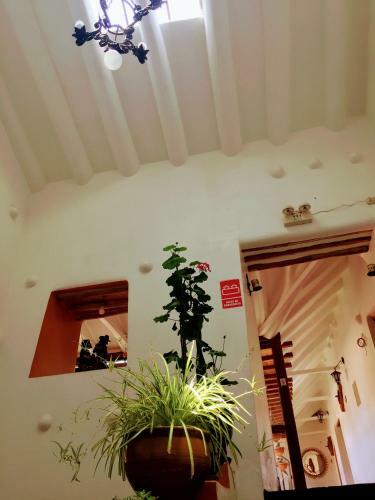 Hostal Kori Gems Inn