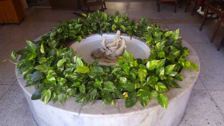 Hotel Mary Carmen