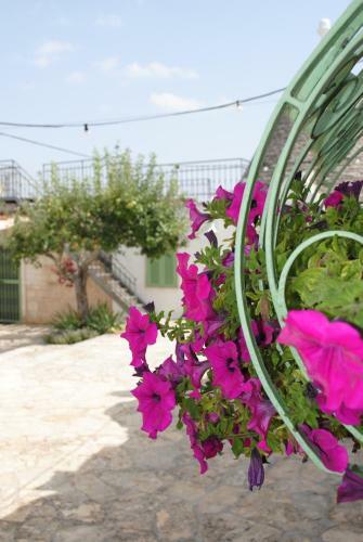 Bed & Breakfast Aria Di Casa Country Resort