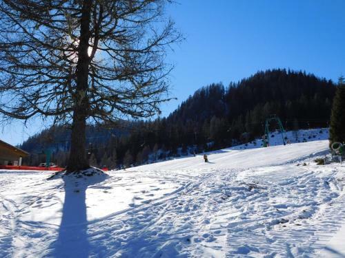 Almh�tte-flattnitz