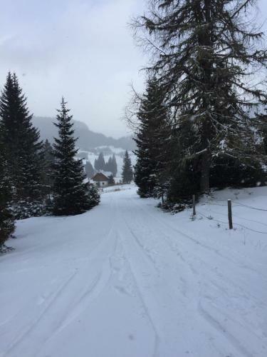 Almh�tte-flattnitz
