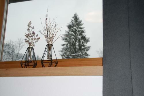 Ferienwohnung Lederer
