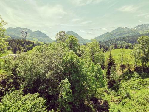 Apartamento Ferienwohnung Grabner
